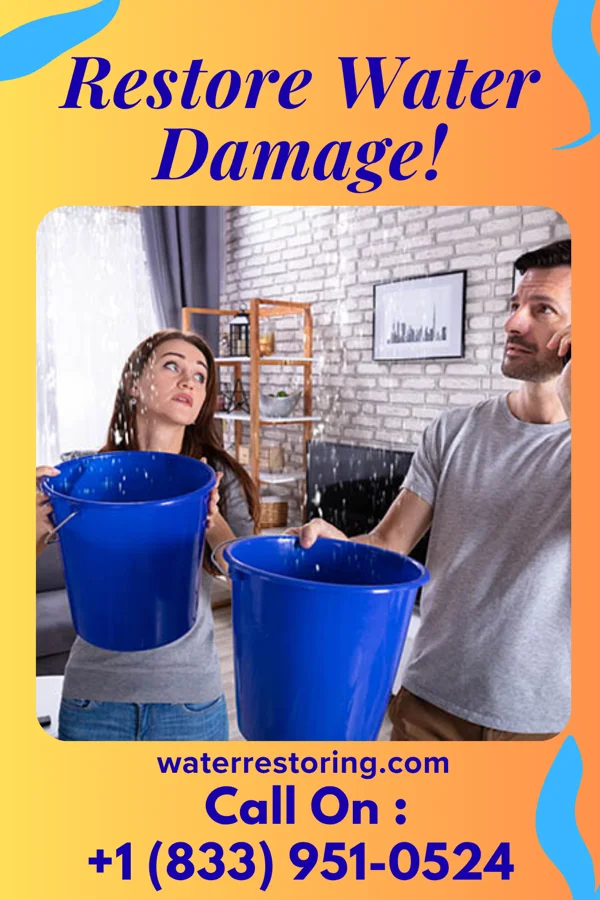 water restoration Master Recovery Professionals New Auburn