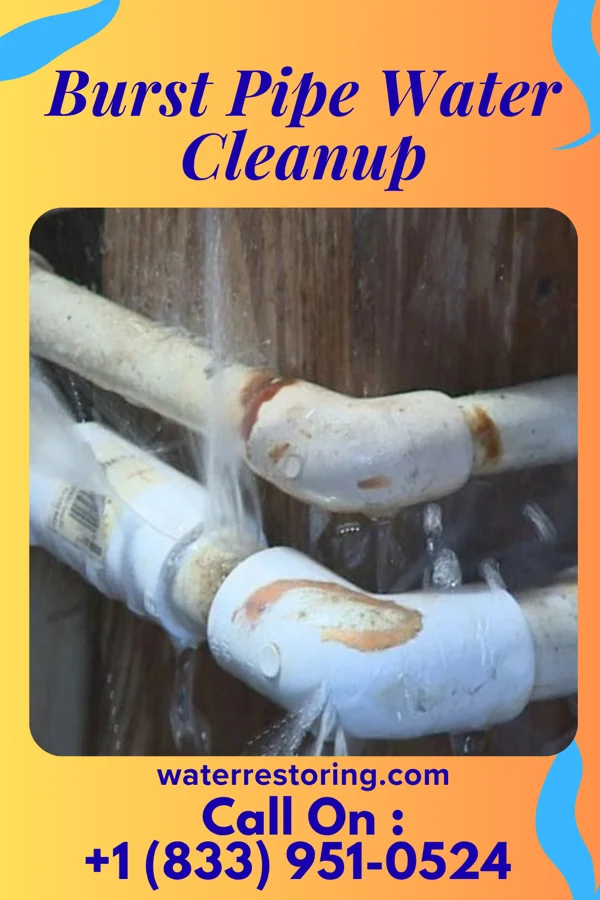 Burst Pipe Water Cleanup in New Auburn, WI