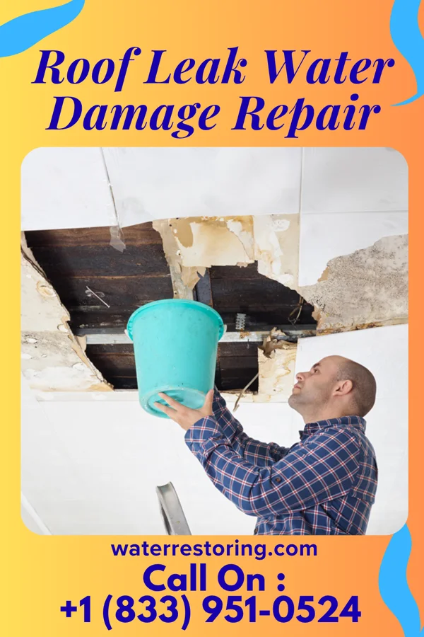 Roof Leak Water Damage Repair in New Auburn, WI