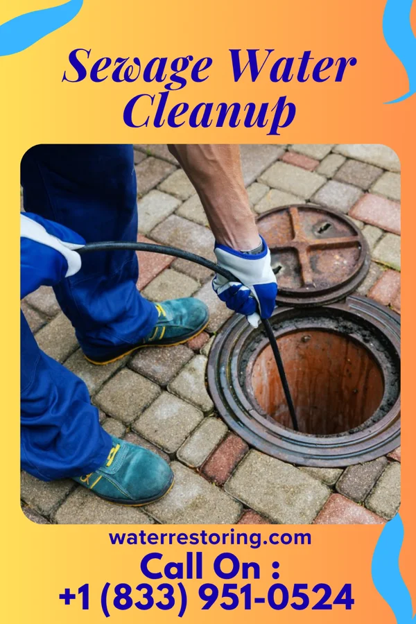 Sewage Water Cleanup in New Auburn, WI